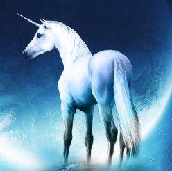 cropped-unicorn-wallpaper.jpg